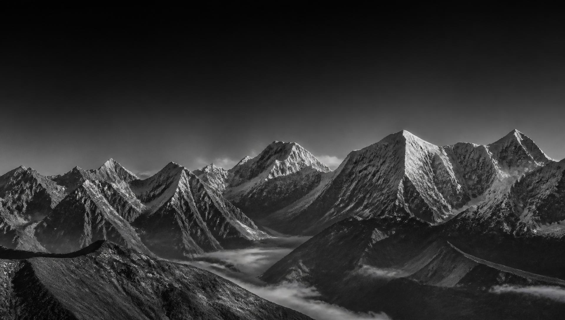 Abstract topographic lines representing structure, movement, and international reach.
